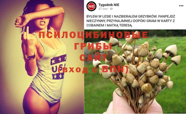 меф Новозыбков